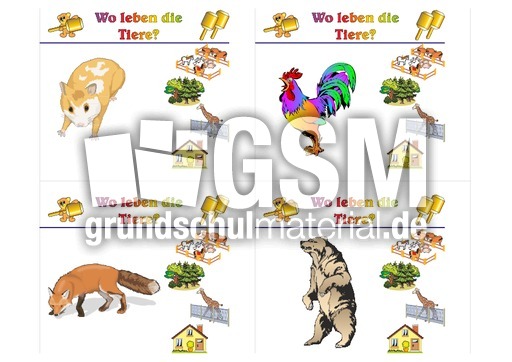 HC-Tiere leben B 01.pdf